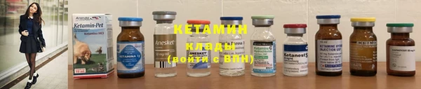 ГАЛЛЮЦИНОГЕННЫЕ ГРИБЫ Верея