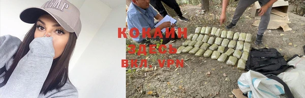 твердый Семилуки