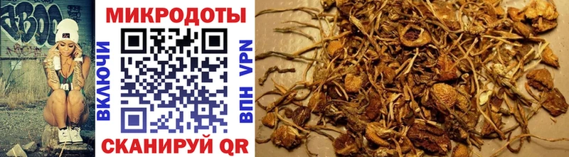 продажа наркотиков  blacksprut вход  Галлюциногенные грибы Magic Shrooms  Калининск 